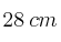 28 \: cm