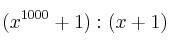 (x^{1000} + 1) : (x+1)