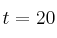 t = 20