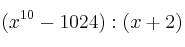 (x^{10}-1024) : (x+2)