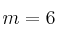m=6